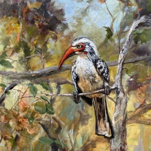 A Painting about a Southern Red-billed Hornbill