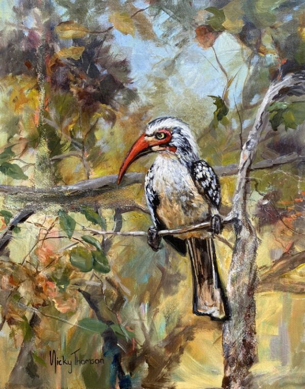 A Painting about a Southern Red-billed Hornbill