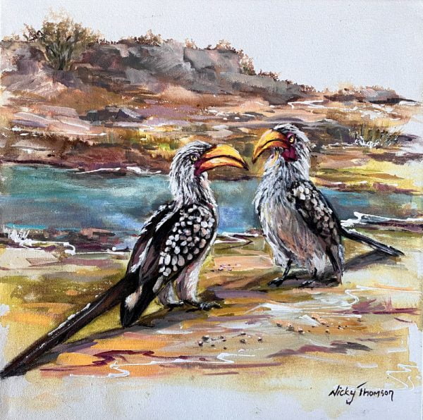 Yellow-Billed Hornbill